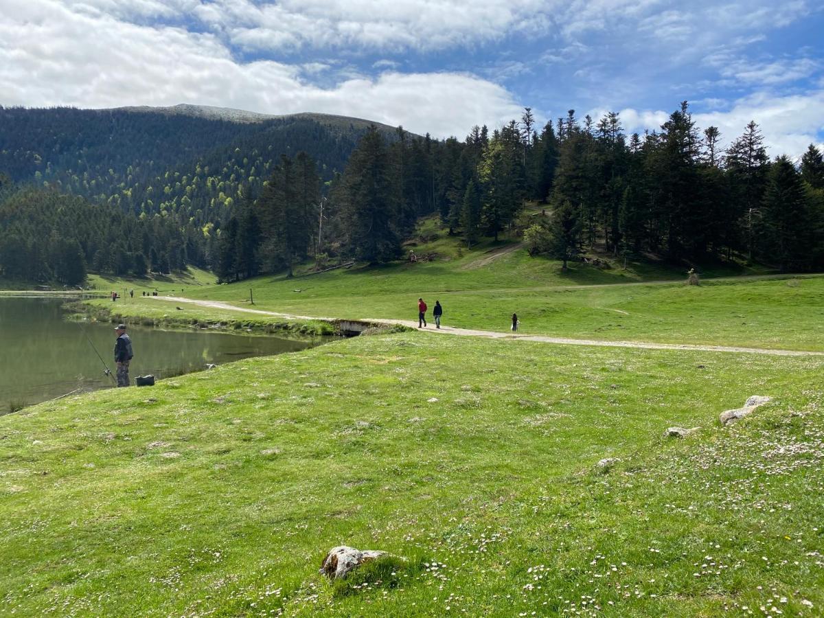 Gite Chaleureux Au Lac De Payolle カンパン エクステリア 写真