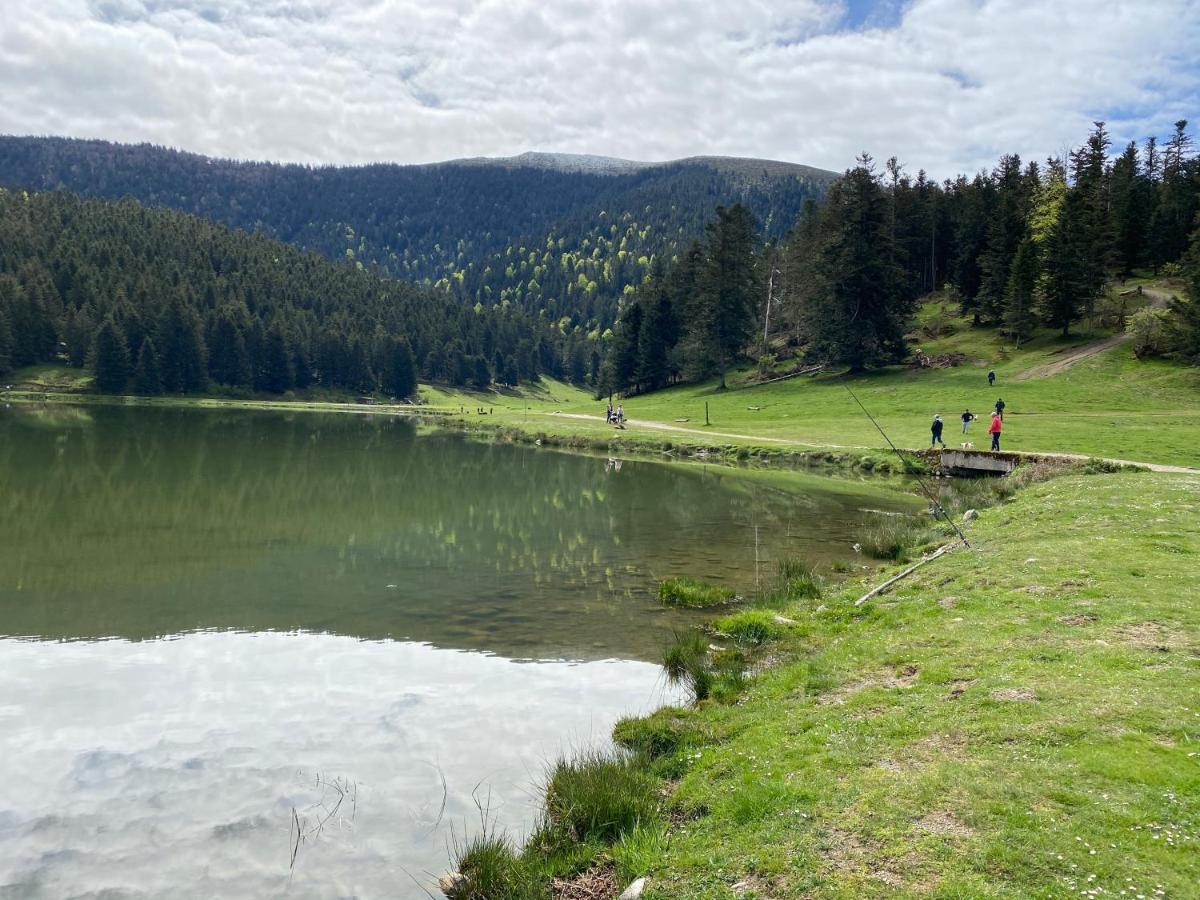 Gite Chaleureux Au Lac De Payolle カンパン エクステリア 写真
