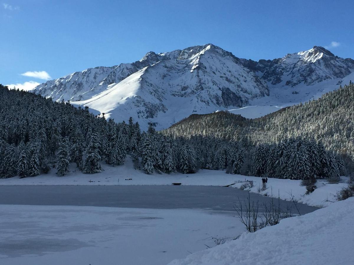 Gite Chaleureux Au Lac De Payolle カンパン エクステリア 写真