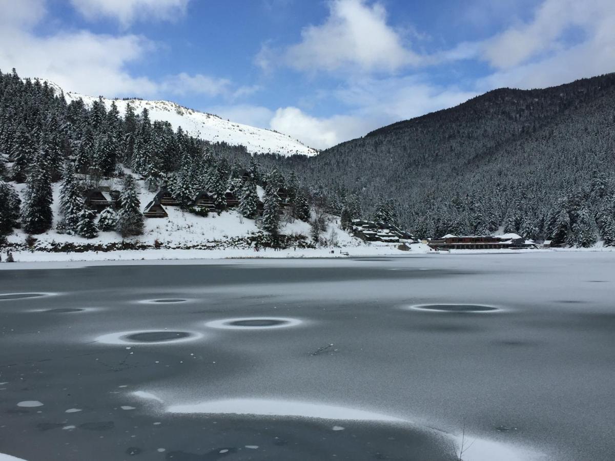 Gite Chaleureux Au Lac De Payolle カンパン エクステリア 写真